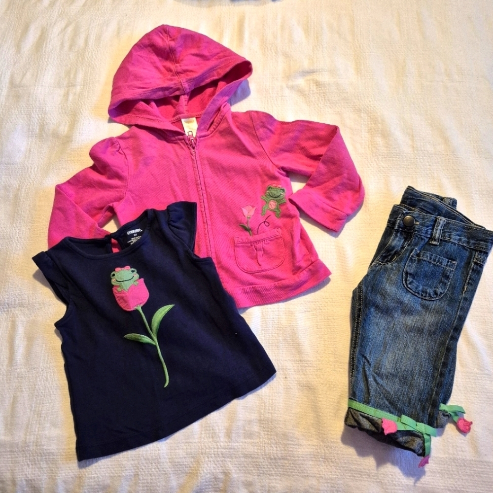 Gymboree girls size 2T Bright Tulip line 3 pieces, shirt, cropped pant, zip up